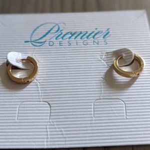 Premier Designs Snug Earrings